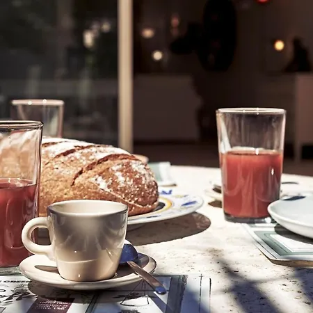 Nouveau-maison Yuccas Saint-Tropez